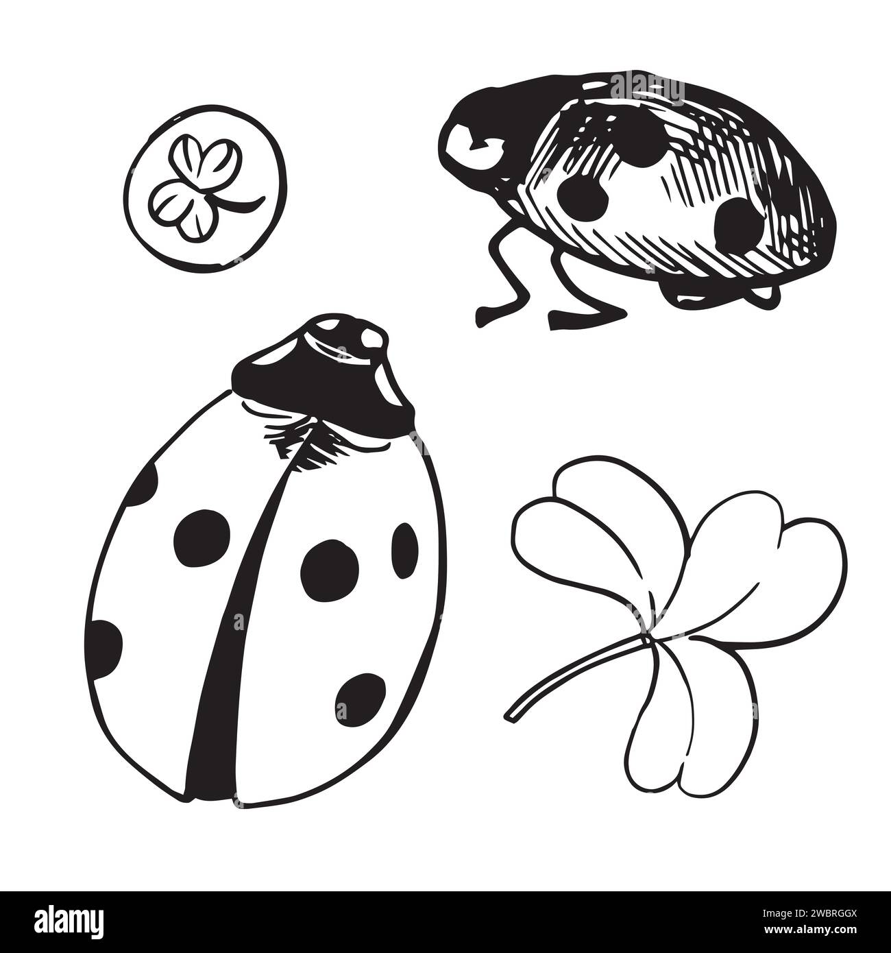 Ladybug On Four Leaf Clover Black And White Stock Photos Images Alamy free-hijab-image-generator-88-hijab-images