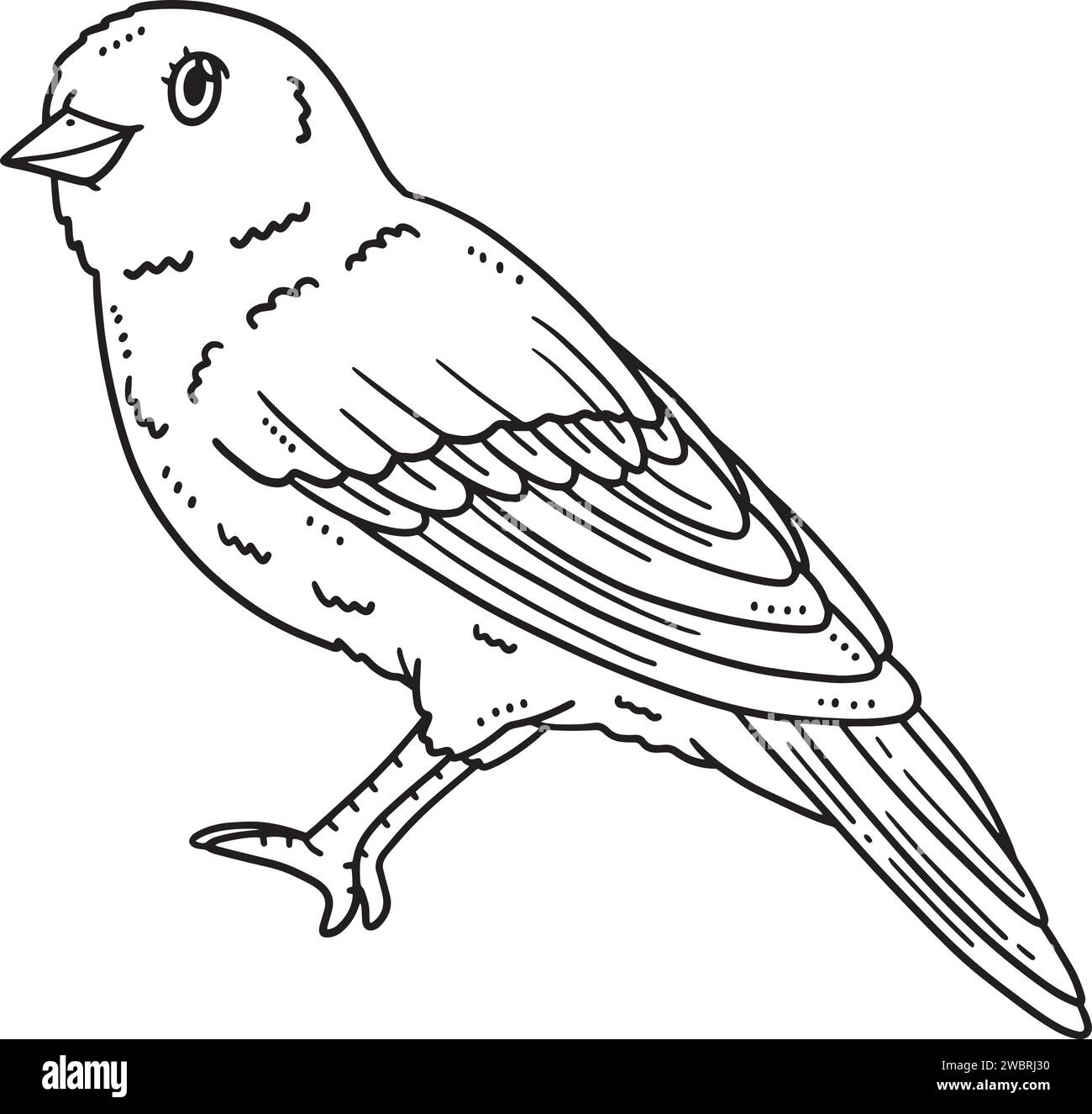Canary Bird Isolated Coloring Page for Kids Stock Vector Image & Art