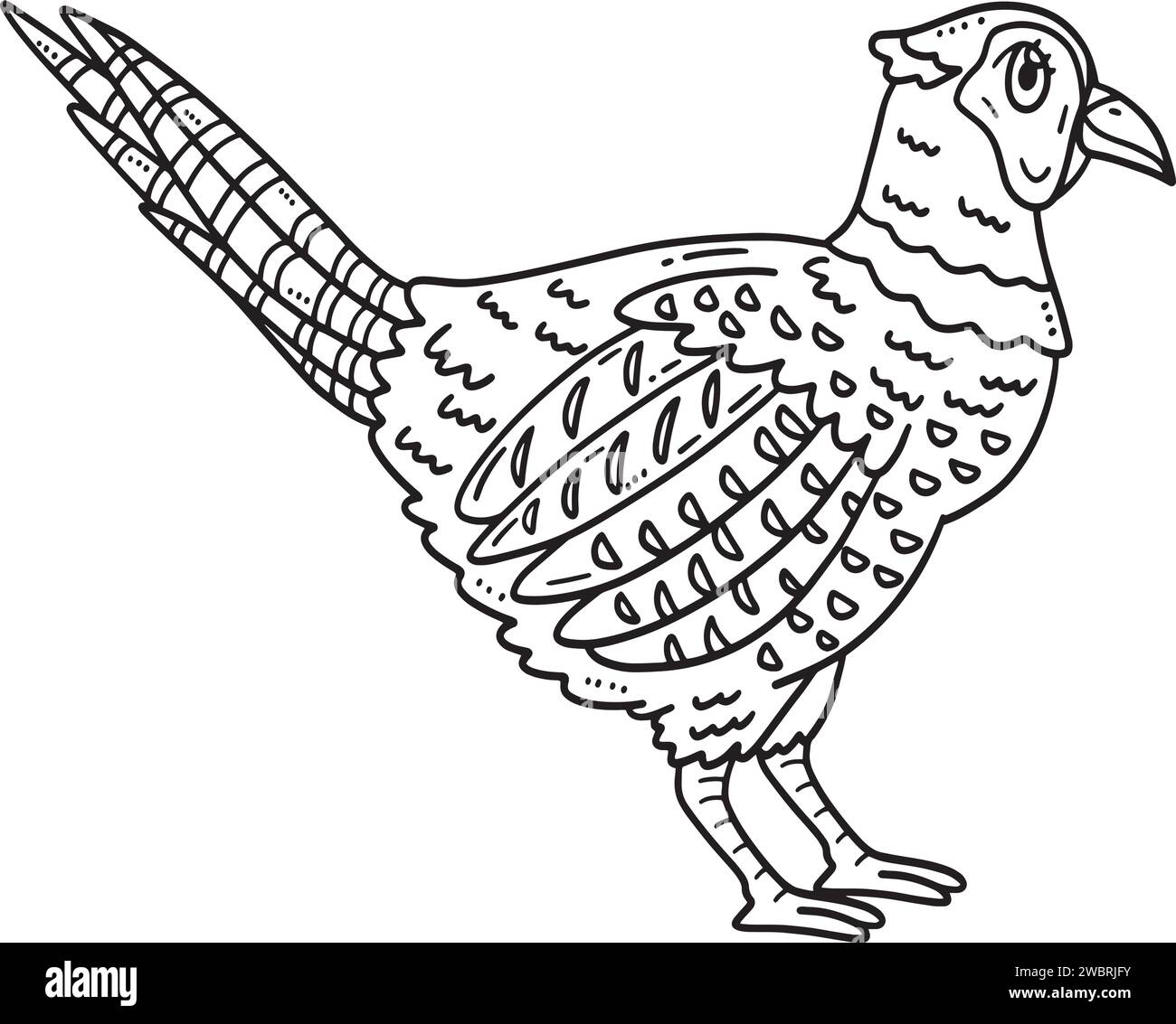 Common Pheasant Bird Isolated Coloring Page Stock Vector
