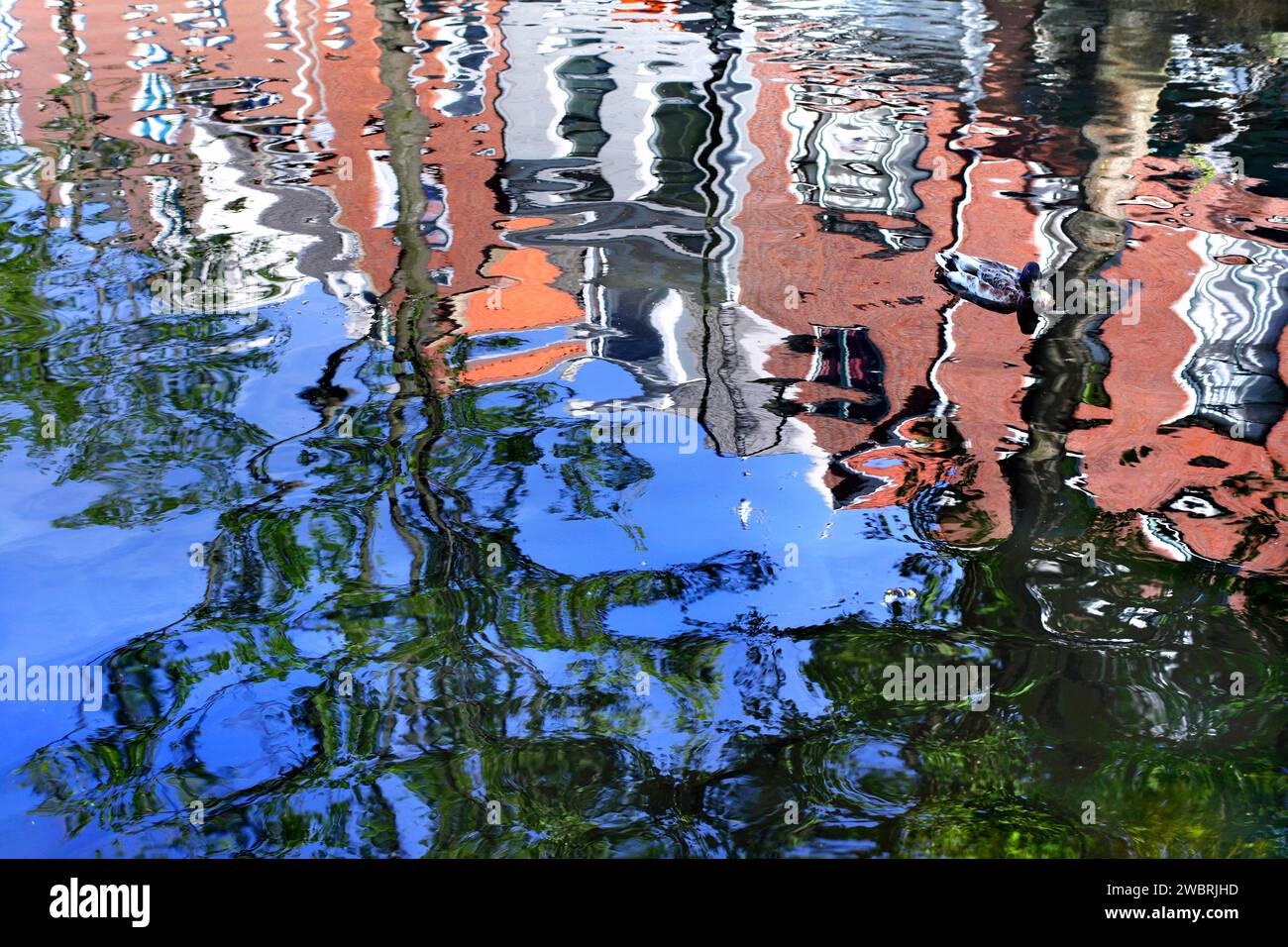 Reflections in a canal of buildings and trees on a street near Delft city centre. Stock Photo