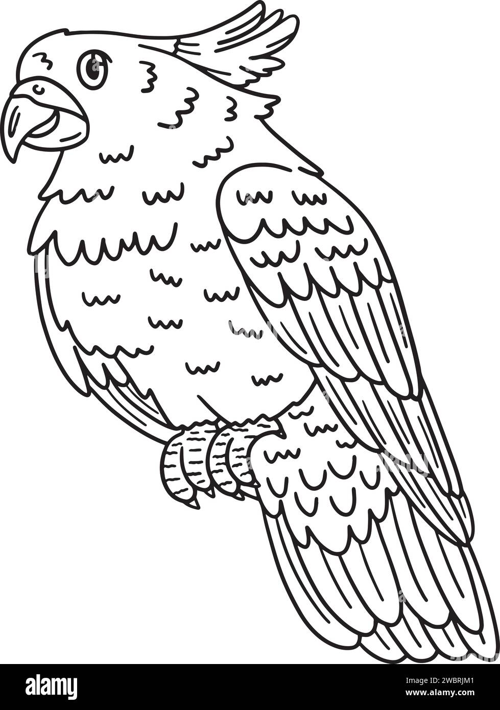 Cockatoo Bird Isolated Coloring Page for Kids Stock Vector