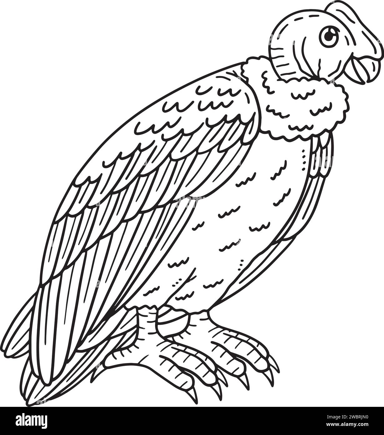 Andean Condor Bird Isolated Coloring Page for Kids Stock Vector Image & Art - Alamy andean-condor-bird-isolated-coloring-page-for-kids-stock-vector-image-art-alamy
