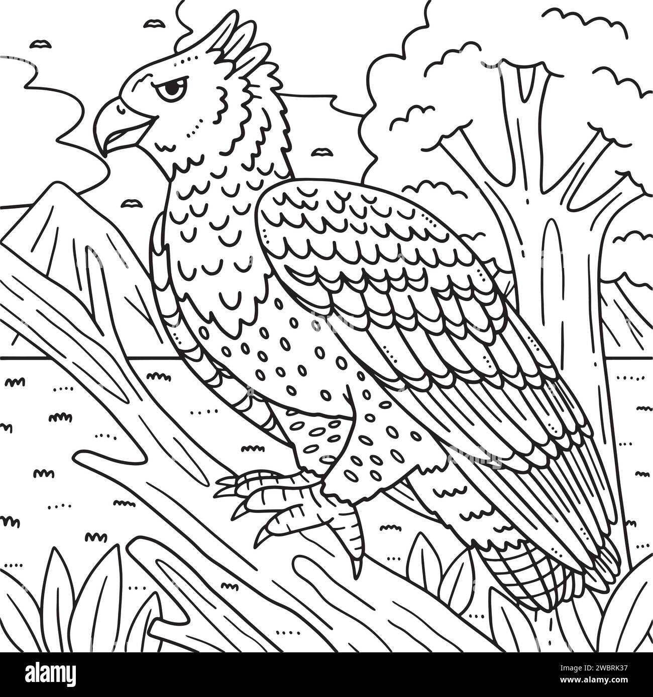 Martial Eagle Bird Coloring Page for Kids Stock Vector Image & Art - Alamy