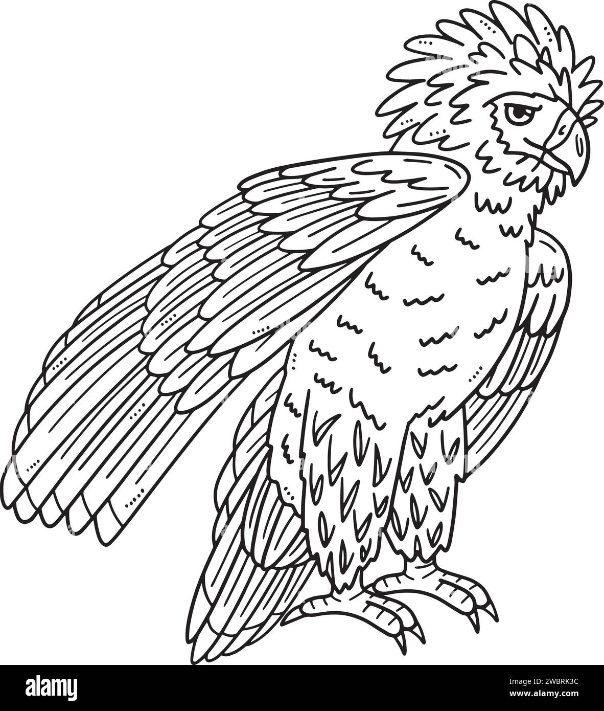 Philippine Eagle Isolated Coloring Page for Kids Stock Vector Image