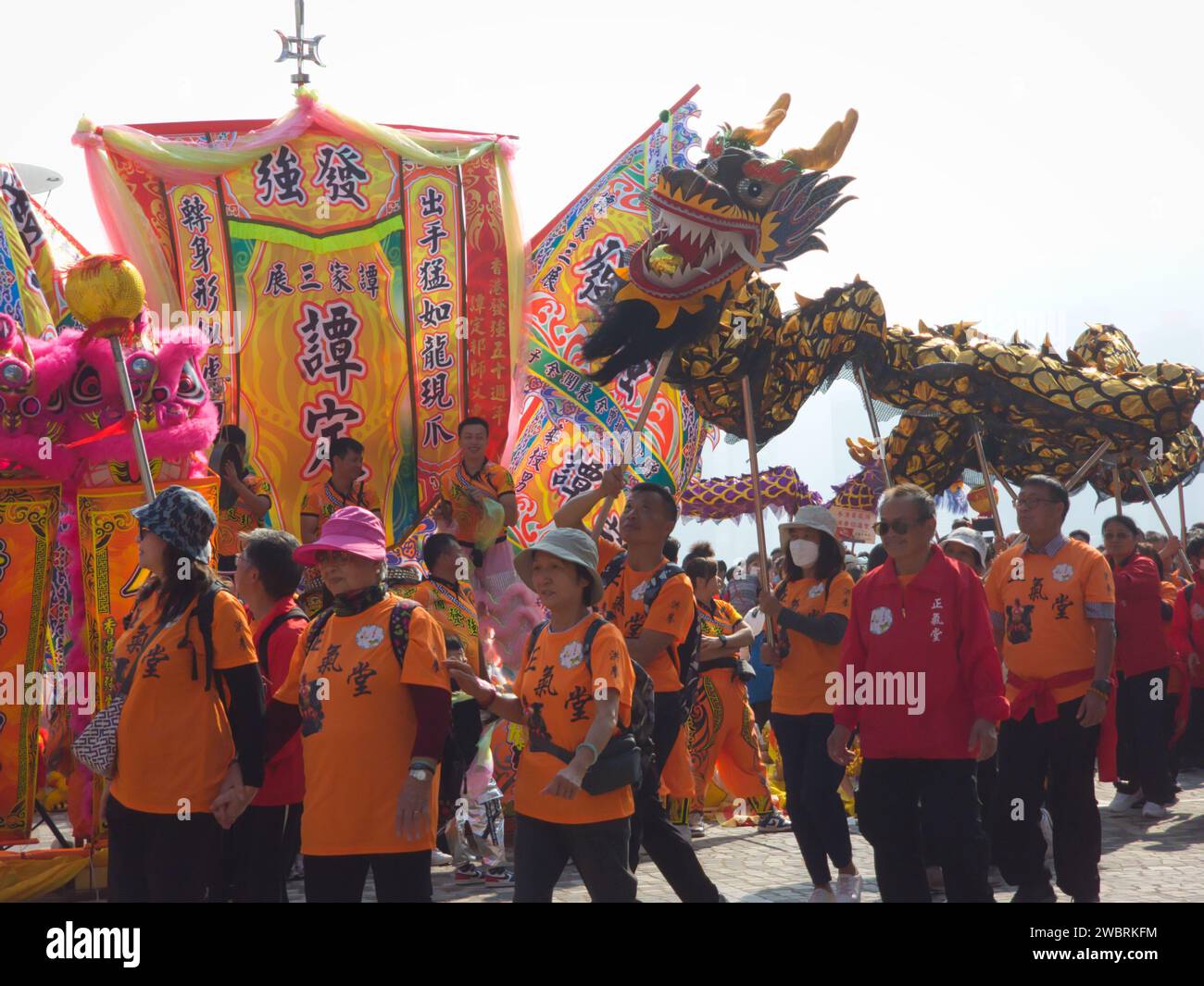Hong Kong, China January 1 2025 Hong Kong Dragon Lion Dance