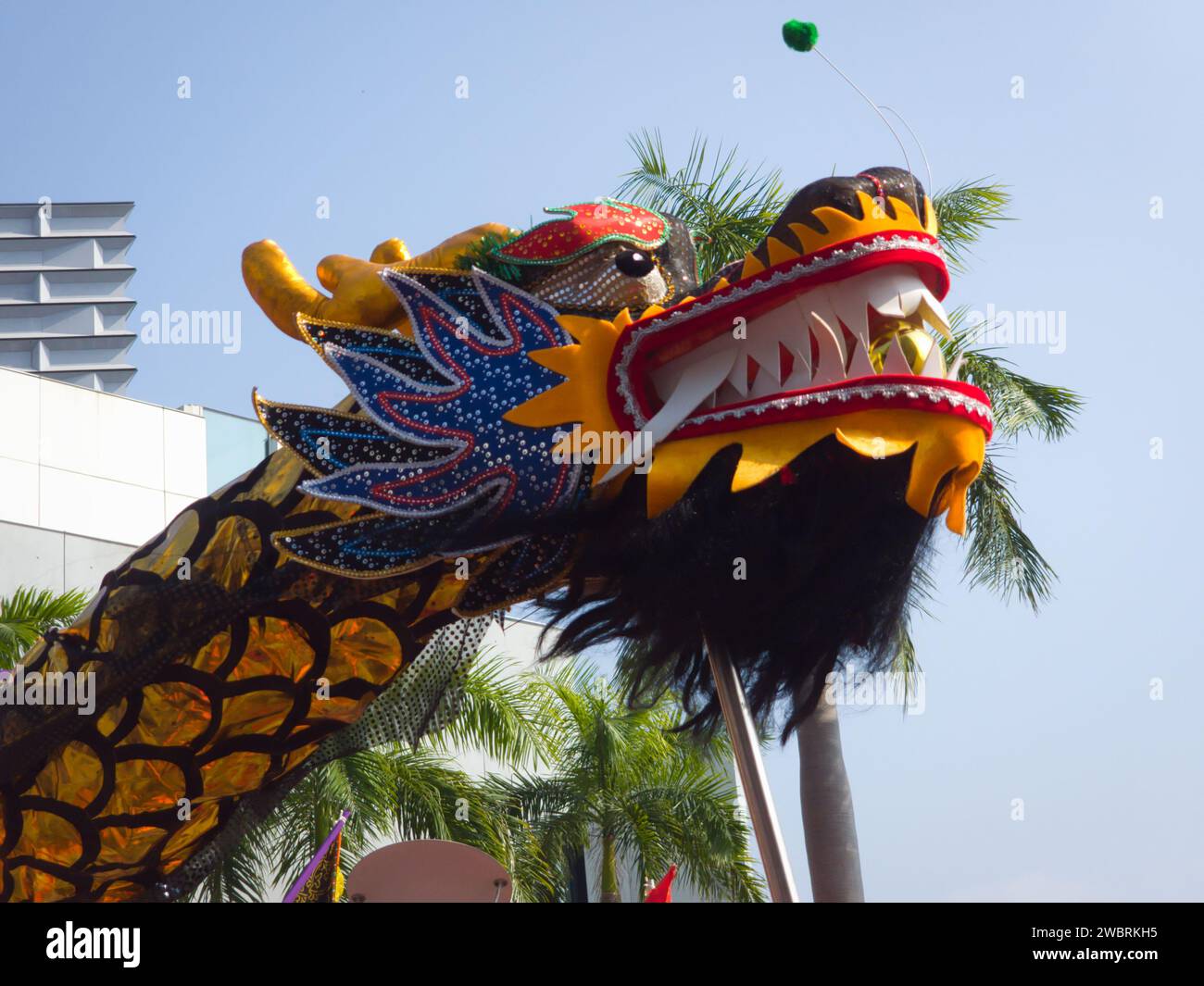 Hong Kong, China January 1 2024 Hong Kong Dragon Lion Dance