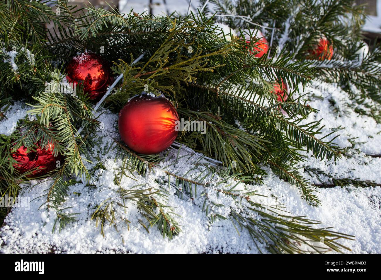 Red christmas tree baubles with fir branches and real snow on wood ...