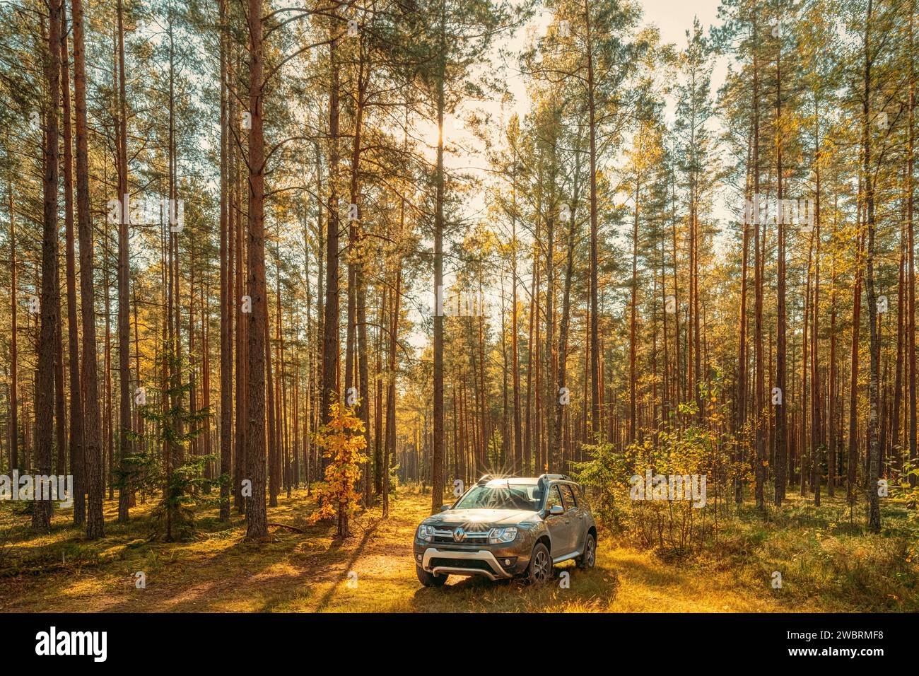 Car Renault Duster SUV in autumn forest landscape. Duster produced jointly by French manufacturer Renault and its Romanian subsidiary Dacia. Stock Photo