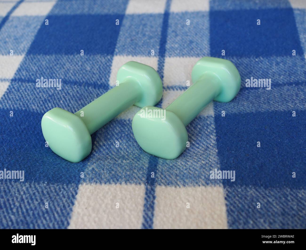 Two Dumbbells Weights Over Tartan Blanket Background Stock Photo