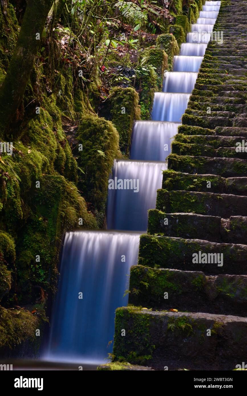 Levada (agricultural water channel) and stone stairs rising up through ...