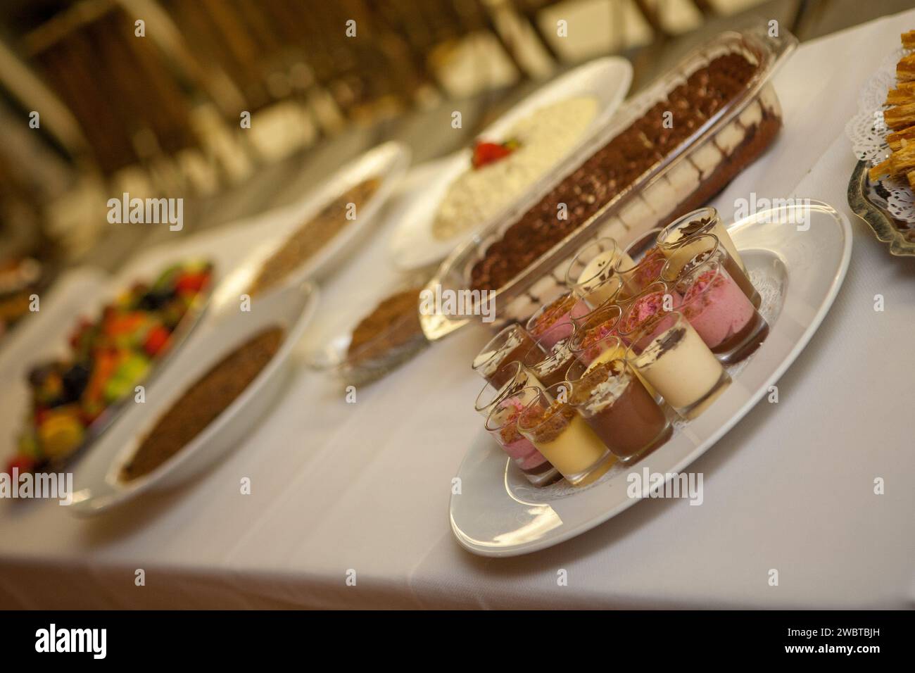 This photograph showcases a sumptuous dessert buffet, inviting guests to a sweet ending of their meal. The image is angled to focus on a variety of desserts, from layered parfaits in glass jars to rich, decadent cakes, all arranged with care on a well-laid table. The depth of field blurs the background, highlighting the nearest desserts and giving a glimpse of the array of choices available. The arrangement on silver platters adds an element of elegance to the presentation, suggesting a special occasion where desserts are not just treats, but part of the celebration. Sweet Finale: A Dessert Bu Stock Photo