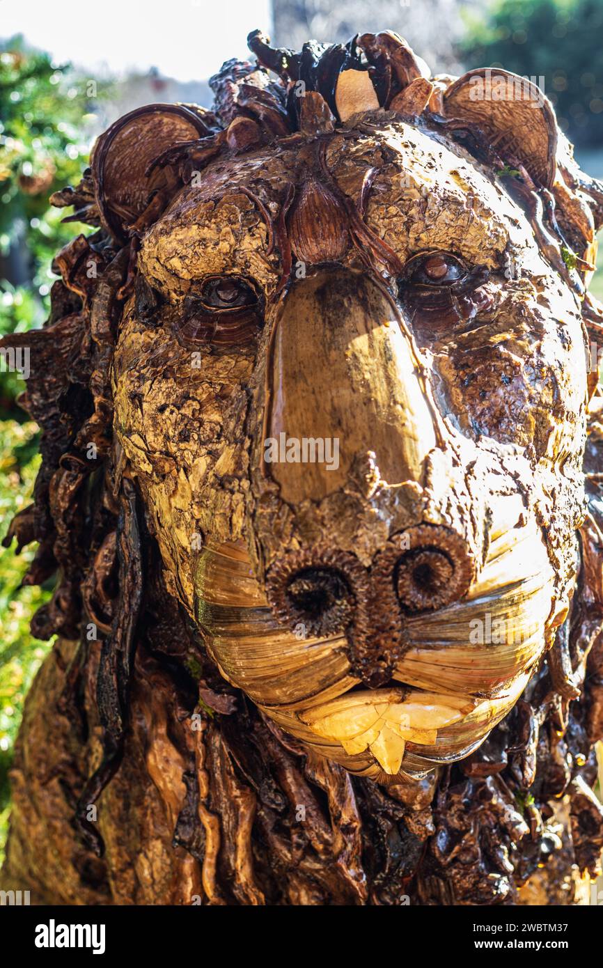 Detail of a statue of a lion--its face seems to be made of natural elements, covered with shellac Stock Photo