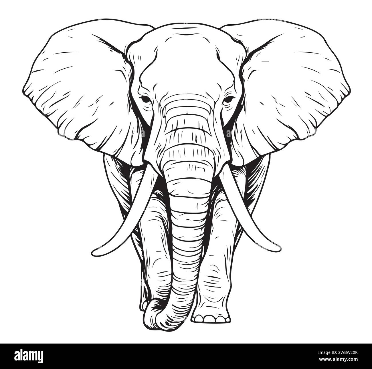 Elephant logo sketch hand drawn in doodle style illustration Stock Vector