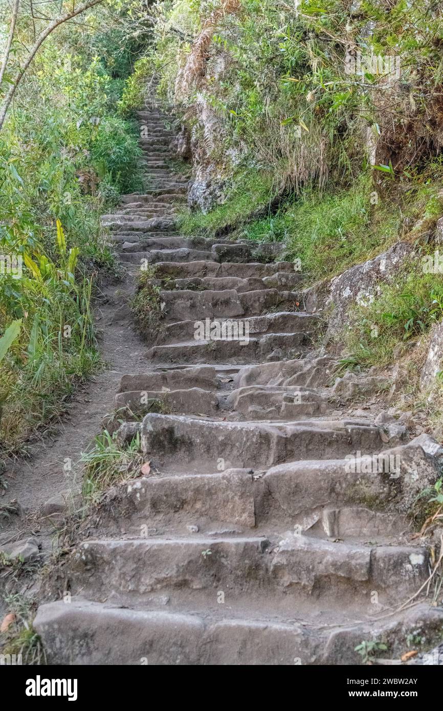Stone steps on the path / trail leading up to the top of Huayna Picchu mountain at Machu Picchu in Peru Stock Photo