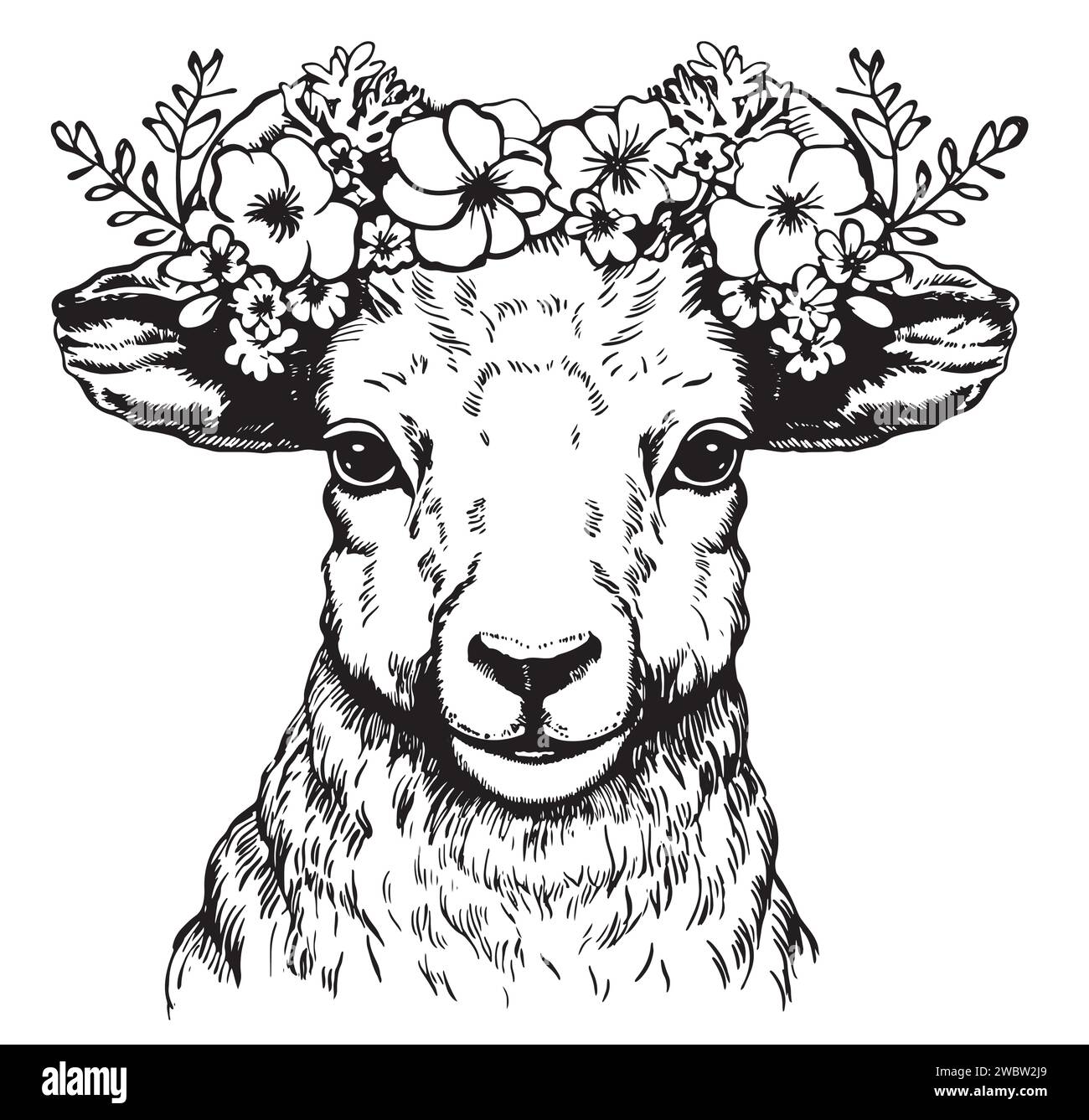 Cute sheep or lamb head engraving style vector illustration. Realistic