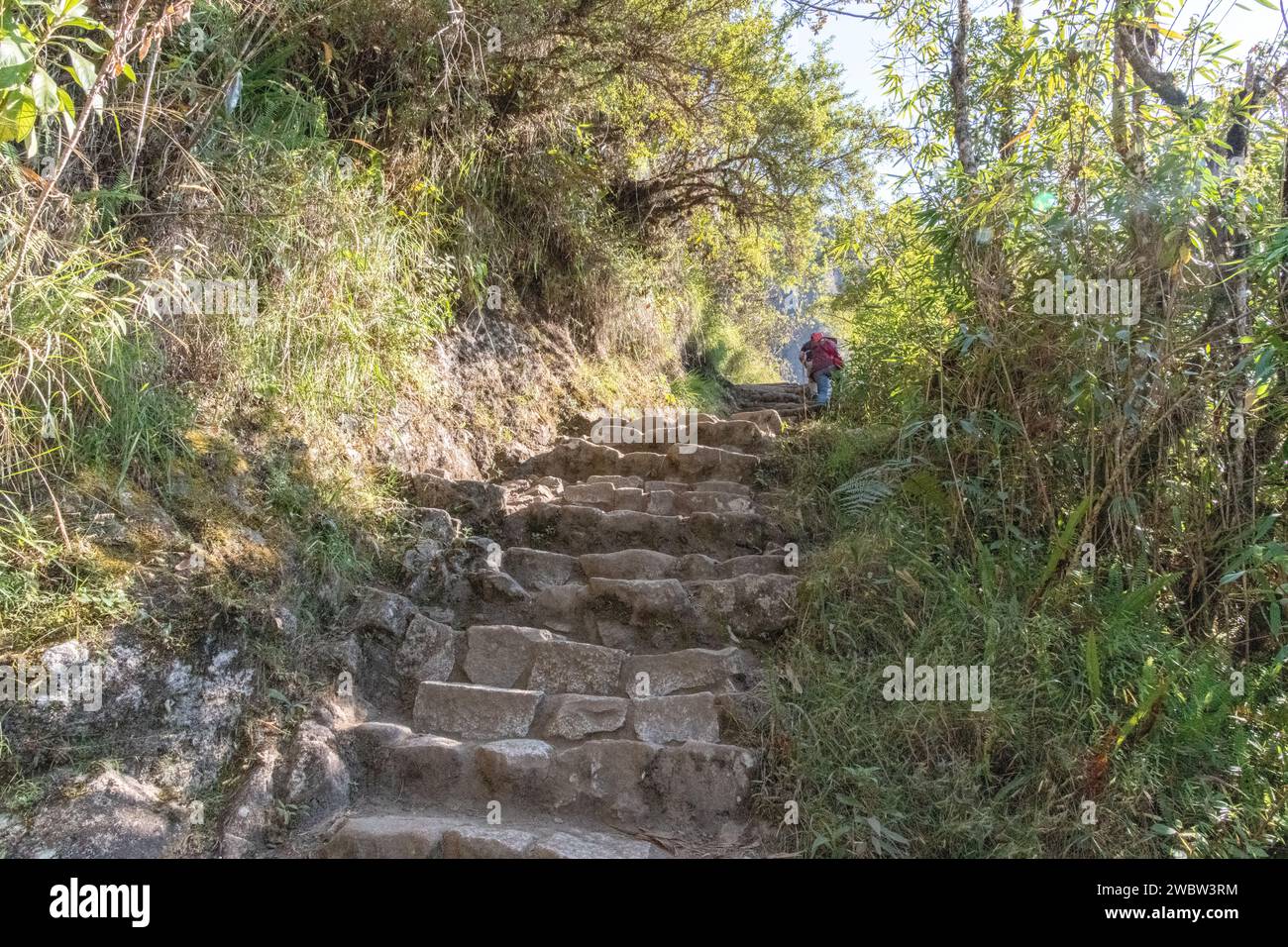Two tourists walking up stone steps on the path / trail leading up to the top of Huayna Picchu mountain at Machu Picchu in Peru Stock Photo