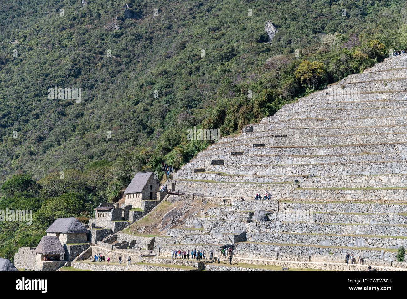A view of the terraces and ruins of the Machu Picchu citadel in the Sacred Valley in Peru Stock Photo