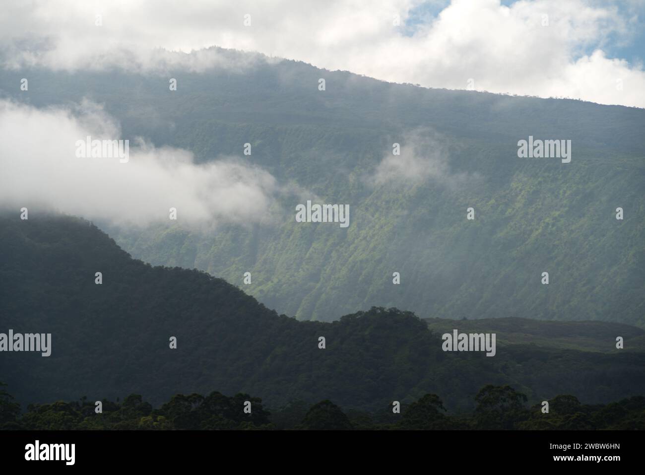 Verdant Ridges Layers of mist and sunlight drape the verdant ridges of Maui, creating ...