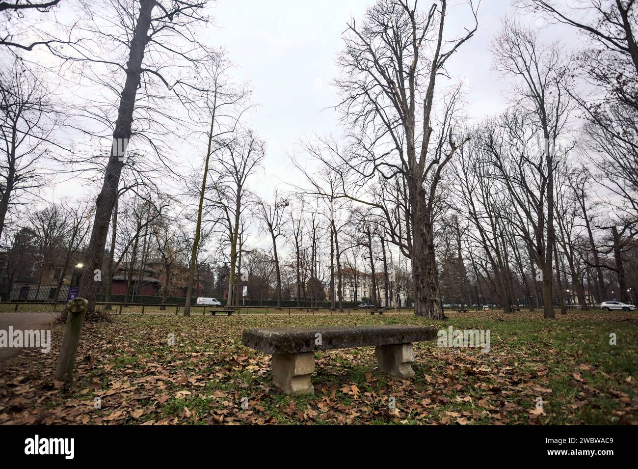 Stone bench in a lawn of a park on a cloudy day in autumn Stock Photo ...