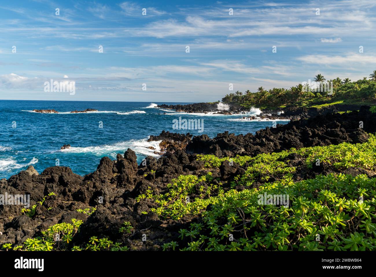 Scenic Maui coastline with lush tropical vegetation and rugged lava rocks against a vibrant blue ocean. Stock Photo
