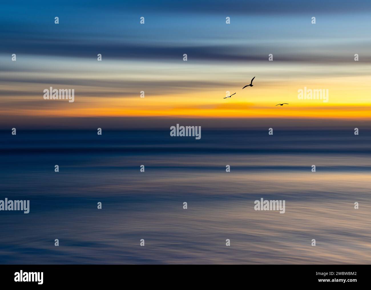 Ocean with birds in flight hi-res stock photography and images - Alamy