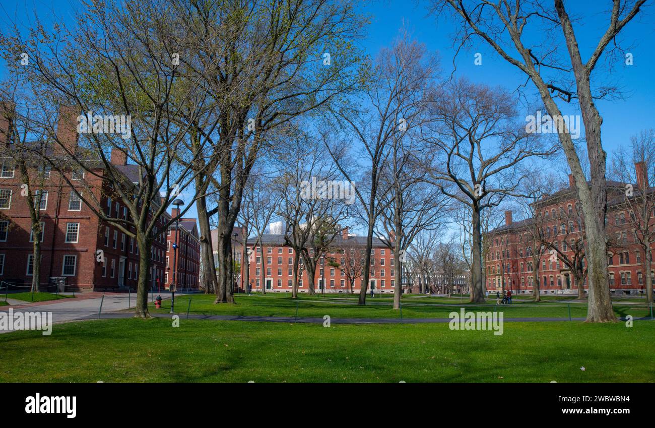 April 23, 2020 Cambridge, Massachusetts, USA. First year student
