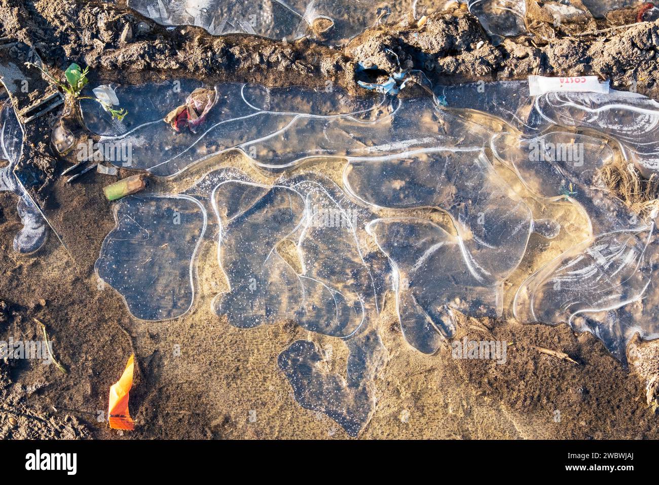 Patterns in frozen ice on a puddle, UK Stock Photo