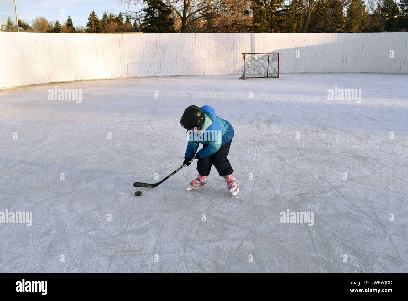 A young girl skates on an outdoor ice rink with a hockey stick in Edmonton, Alberta, Canada Stock Photo