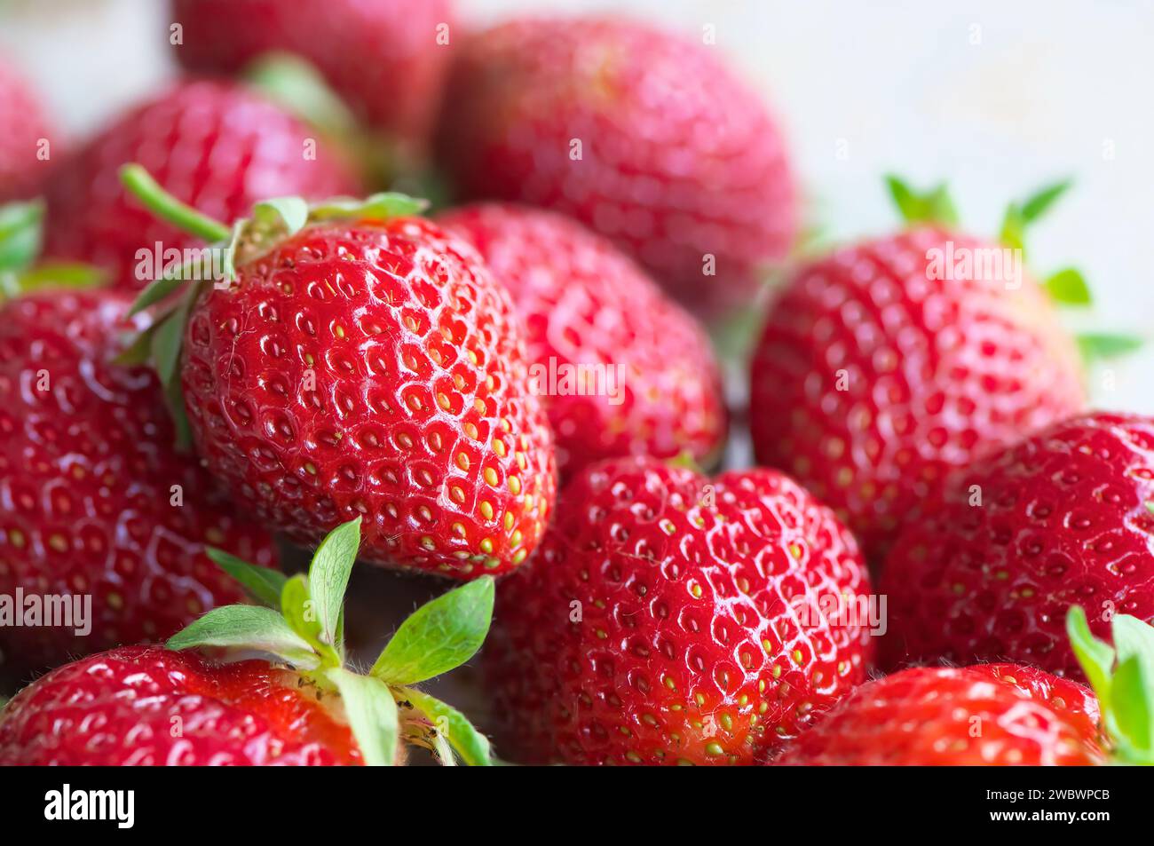 Strawberries (Fragaria x ananassa) - closeup of whole berries with stems. Stock Photo
