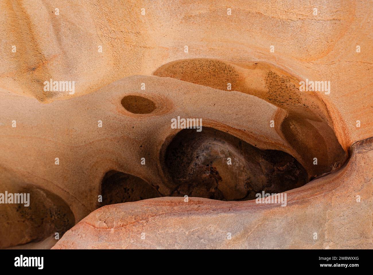 Photograph of a rock with orange and ochre colors with abstract shapes ...