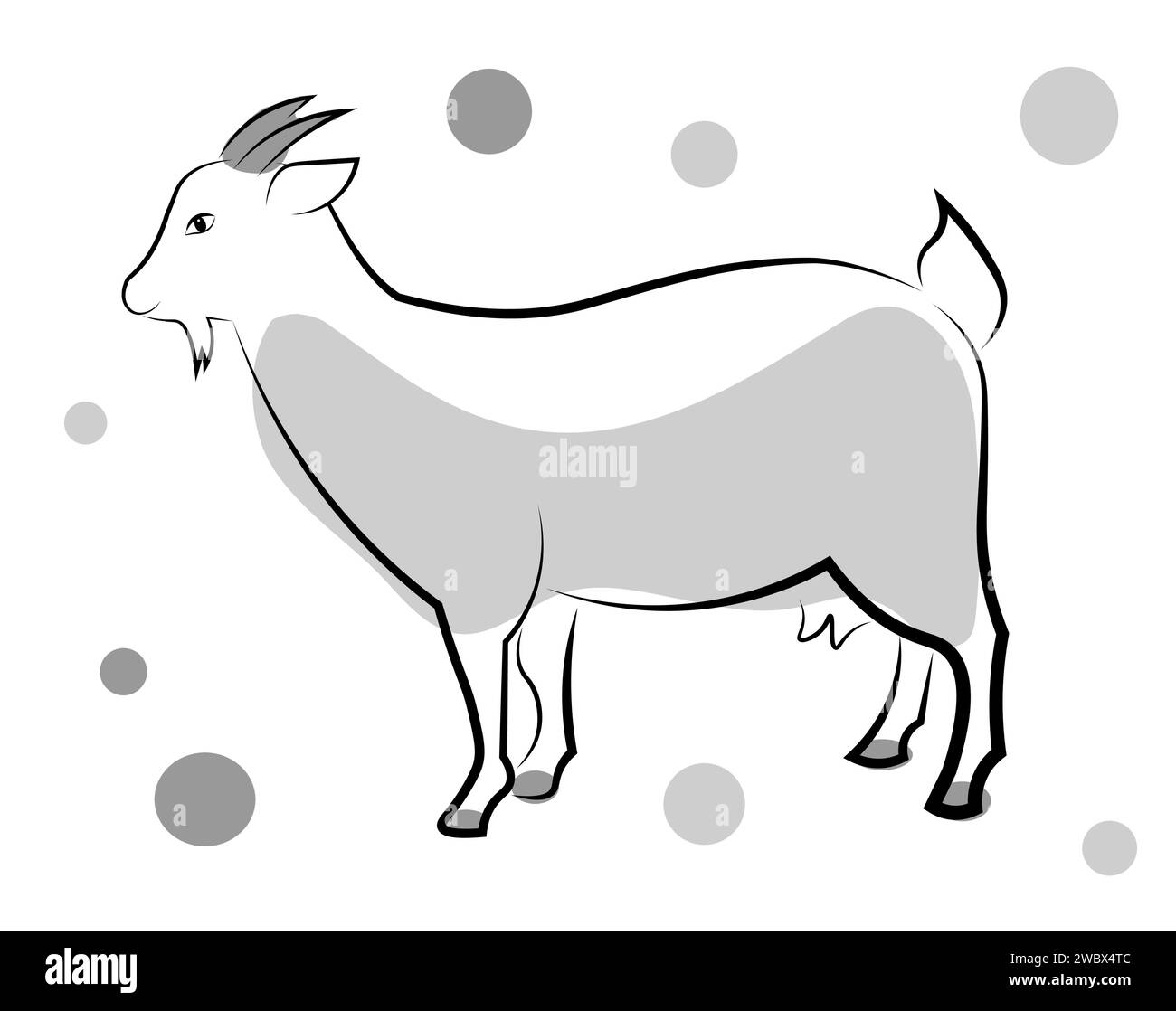 White domestic goat isolated on Black and White Stock Photos & Images ...