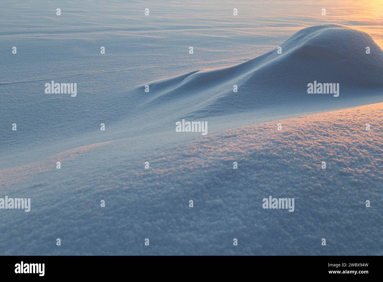 Landscape of fresh and clean snow on the ground and snowdrift at sunset. Good as a natural winter season background. Beautiful abstract snowy shapes. Stock Photo