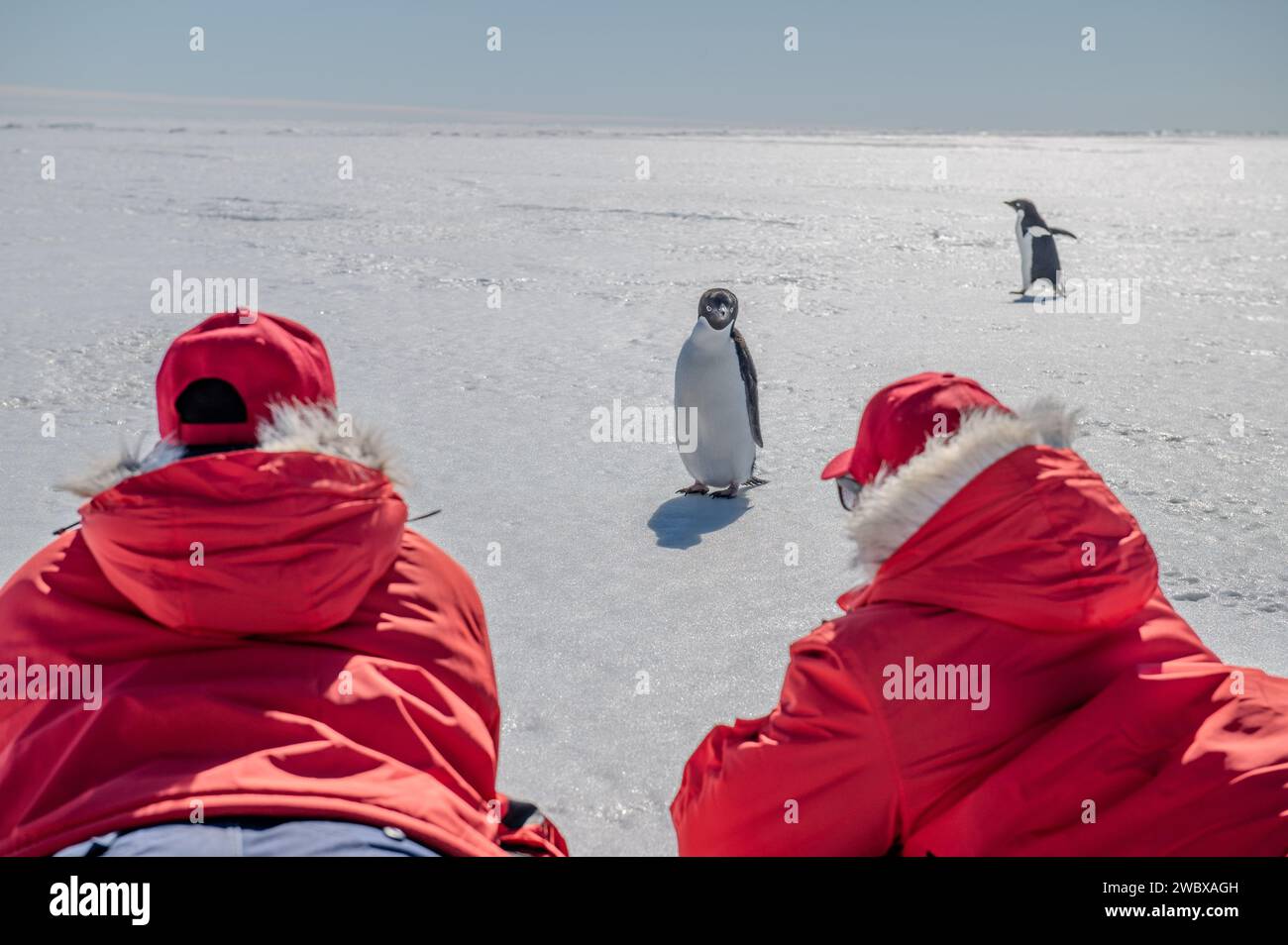 McMurdo Station, Antarctica. 29 December, 2023. U.S Coast Guard