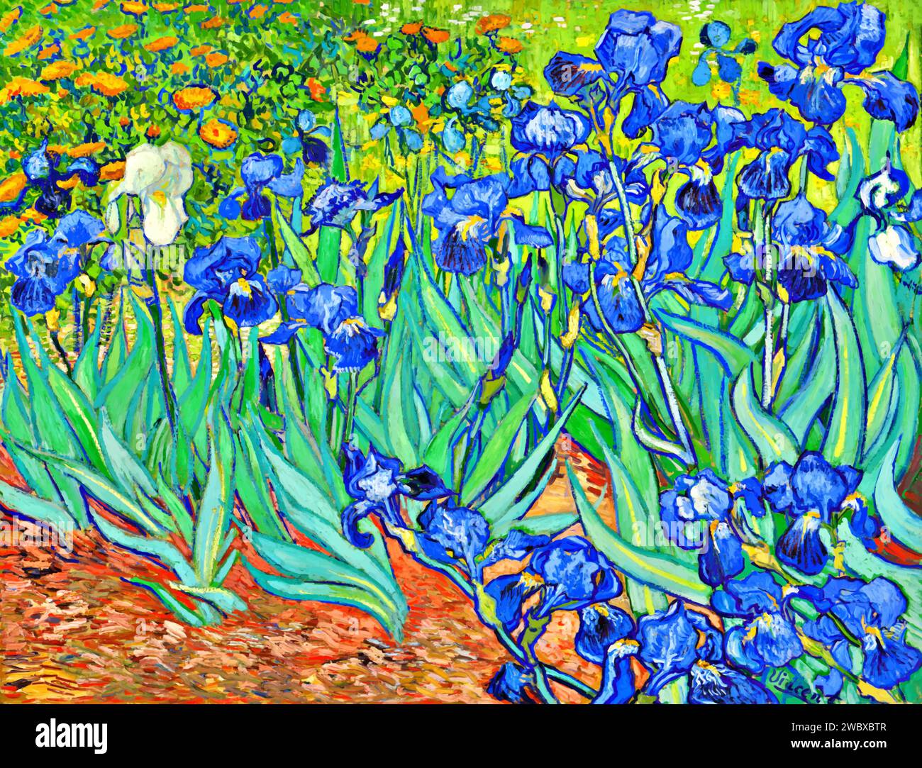Irises, 1889 (Painting) by Artist Gogh, Vincent van (1853-90) Dutch. Stock Vector
