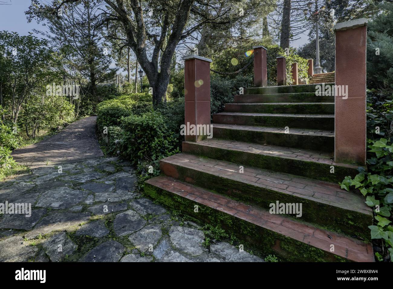 Exterior construction stairs with steps covered in green moss in the ...