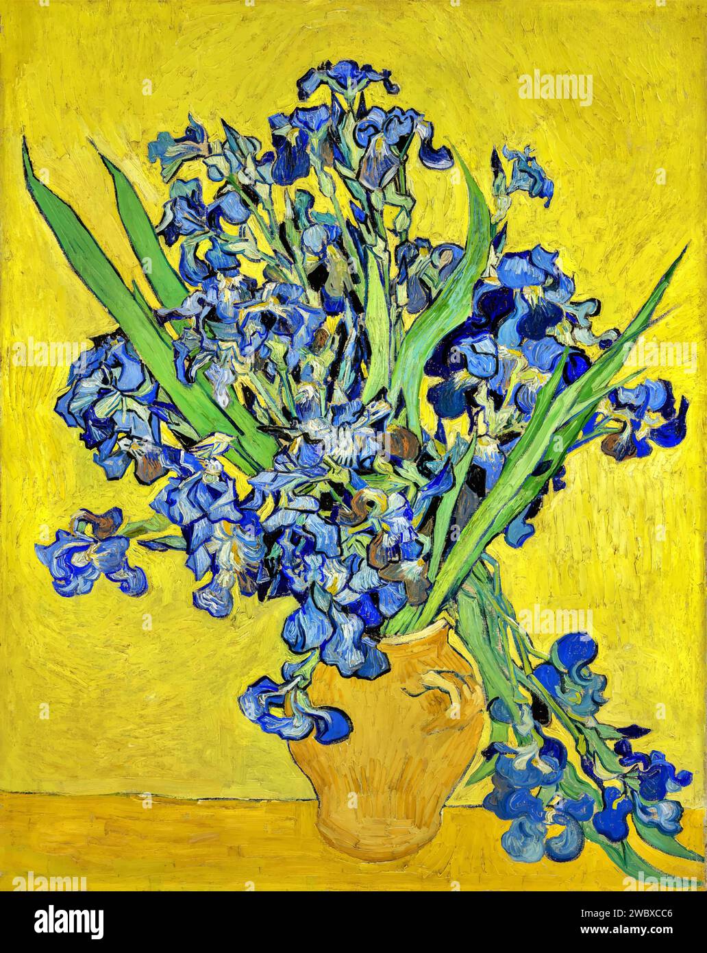 Irises 1890 (Painting) by Artist Gogh, Vincent van (1853-90) Dutch. Stock Vector