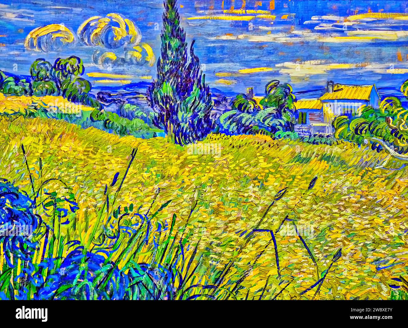 Landscape with Green Corn, 1889 (Painting) by Artist Gogh, Vincent van (1853-90) Dutch. Stock Vector