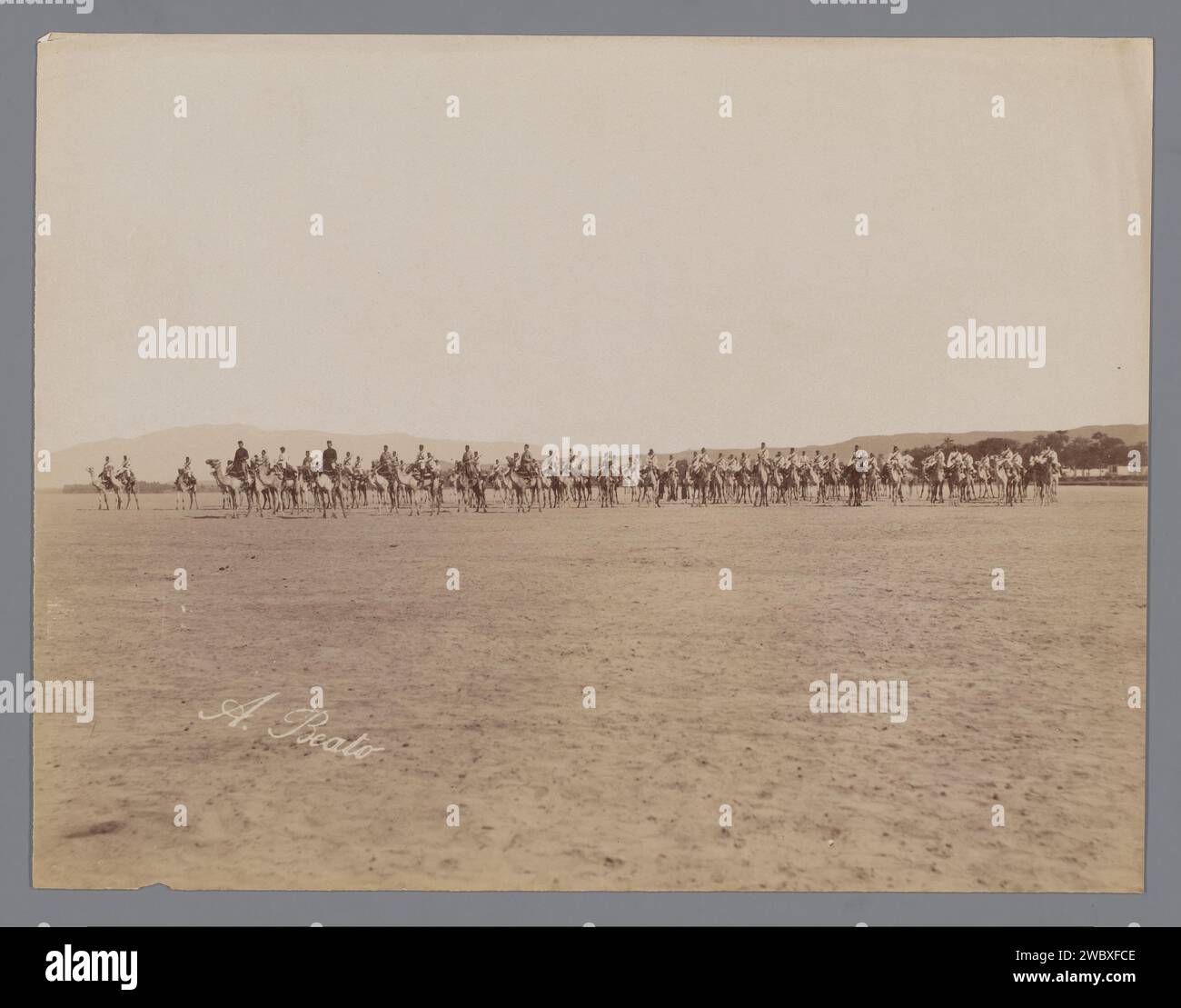 Soldiers of the Camel Corps during the Mahdi uprising in Sudan, Antonio Beato, 1881 - 1899 photograph   paper albumen print hoofed animals: dromedary. the soldier; the soldier's life. Mahdist War Stock Photo
