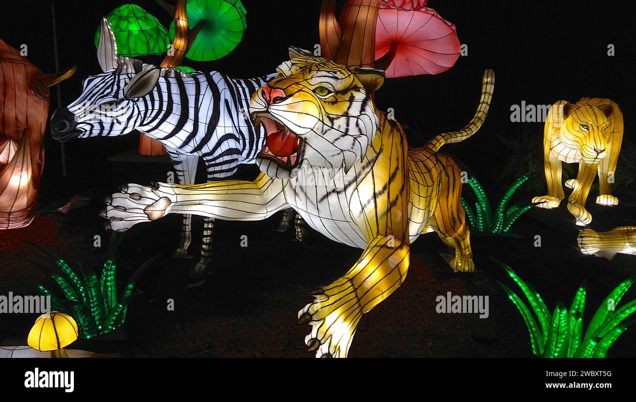 Lantern Festival in Toronto -  animal - tiger Stock Photo