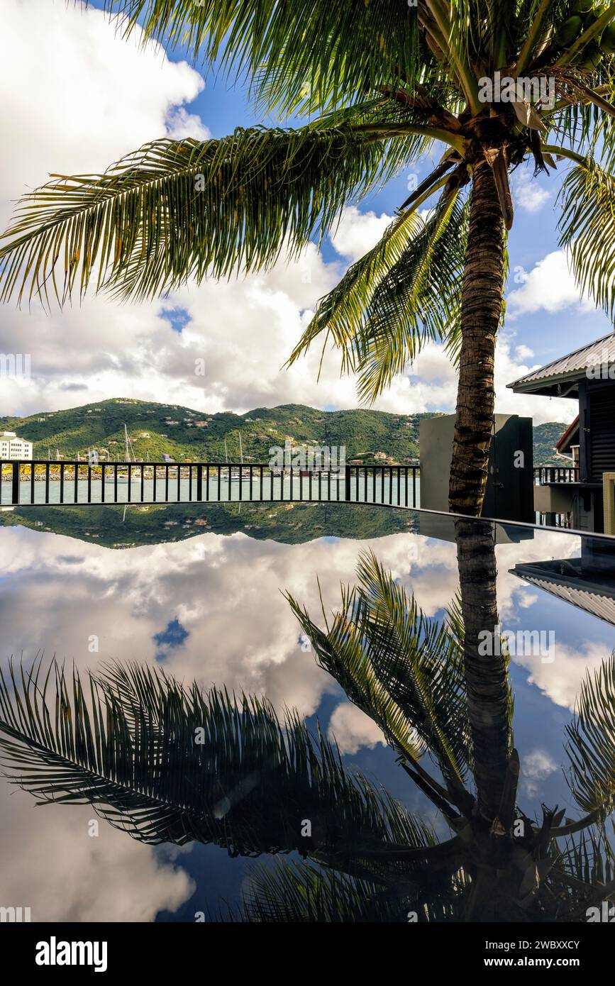 Palm tree reflections - Cyril B. Romney Tortola Pier Park, Road Town, Tortola, British Virgin Islands Stock Photo