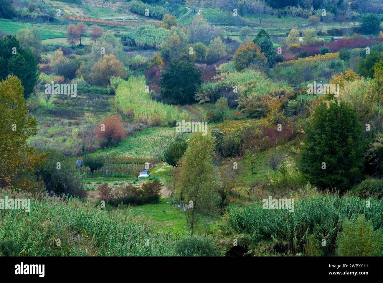 italian allotment gardens, cultural landscape in autumn colors Stock Photo