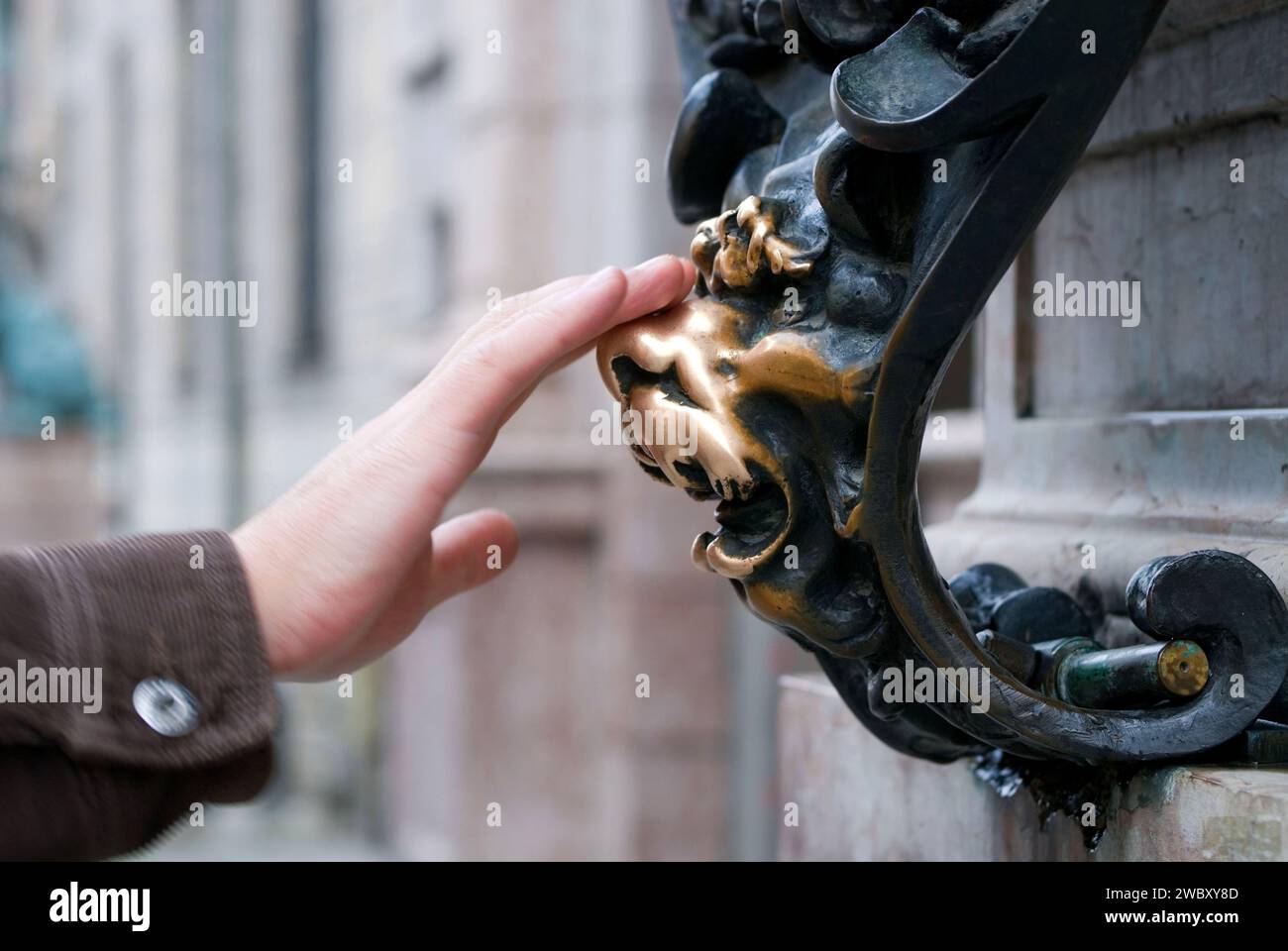 closeup of lucky lion statue with a hand rubbing its nose, at