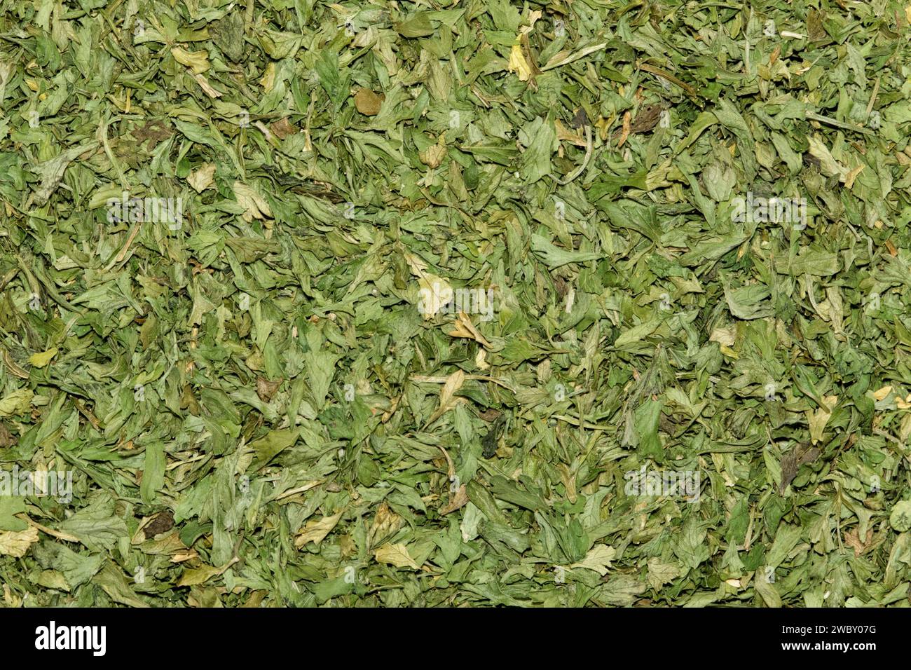 Dried Parsley flakes herbal green background image. Petroselinum