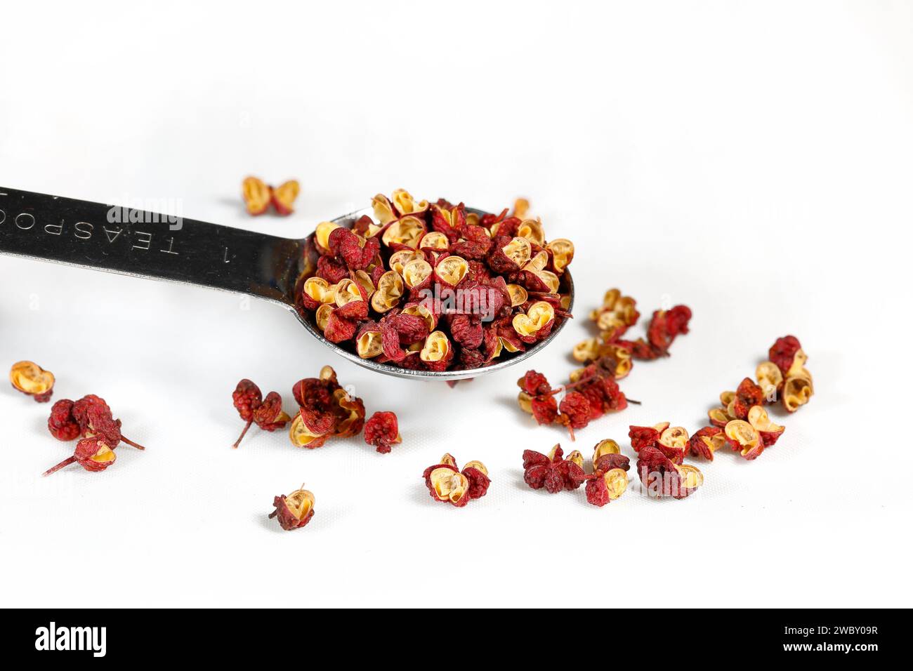 A teaspoon of dried Da Hong Pao Sichuan Peppercorns (Zanthoxylum bungeanum) 大紅袍 花椒 prickly ash berries isolated on a white background. Stock Photo