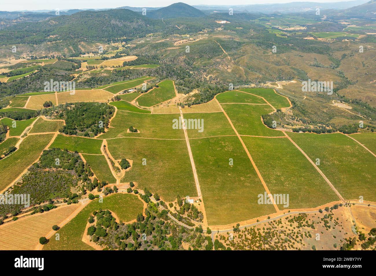 Aerial view of green rows of plants in farm fields, vineyards, and the agricultural towns of norther California Stock Photo