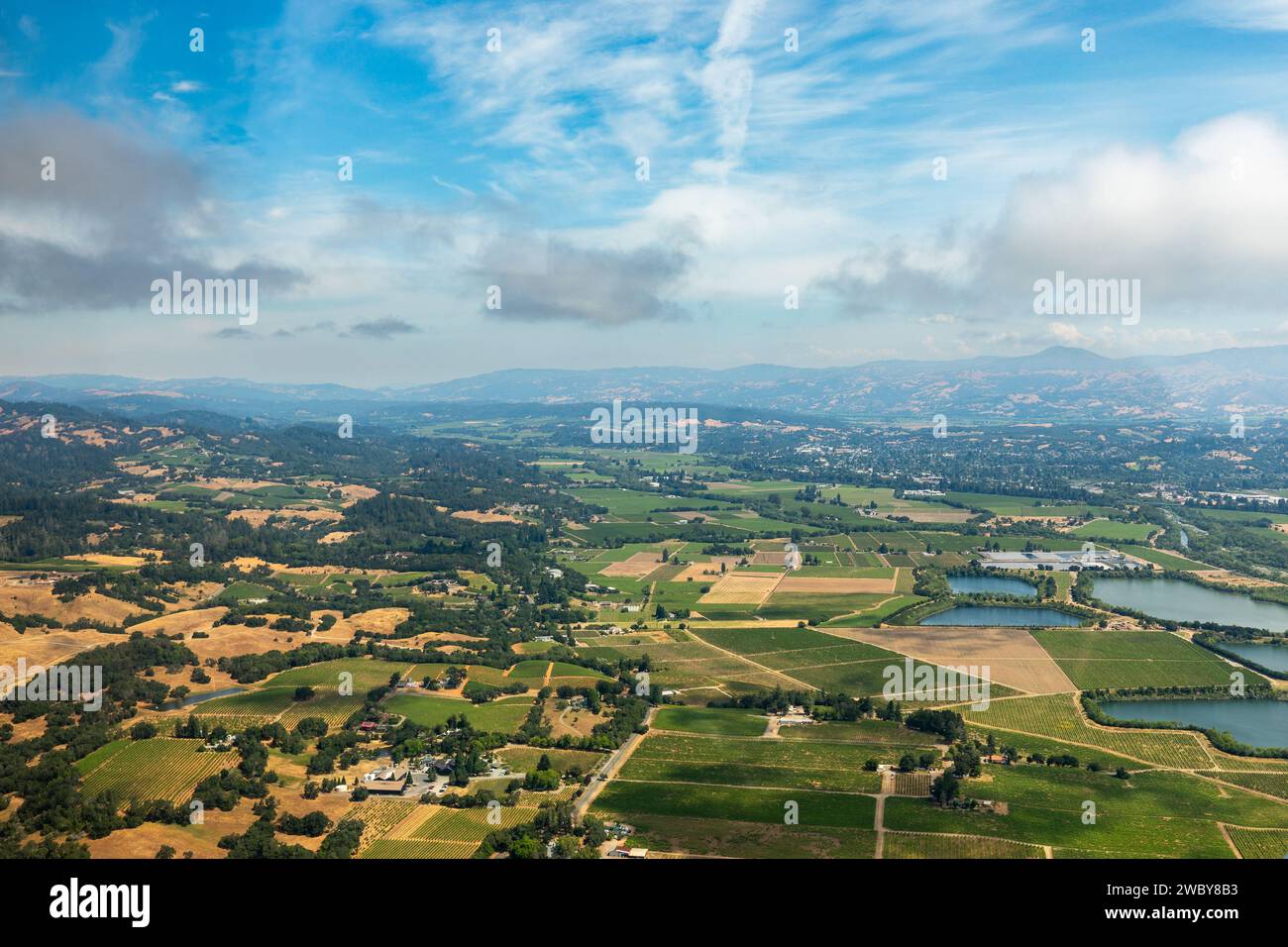 Aerial view of green rows of plants in farm fields, vineyards, and the agricultural towns of norther California Stock Photo