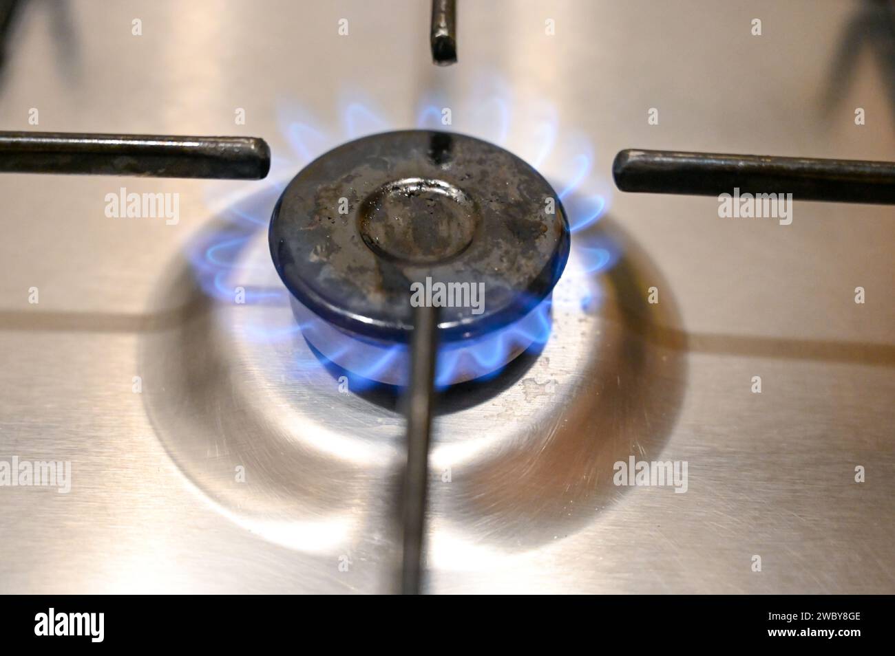 Gas cooker in kitchen. Close up of blue flames on gas stove burner in home. Burning fire on propane gas cooker. Stock Photo