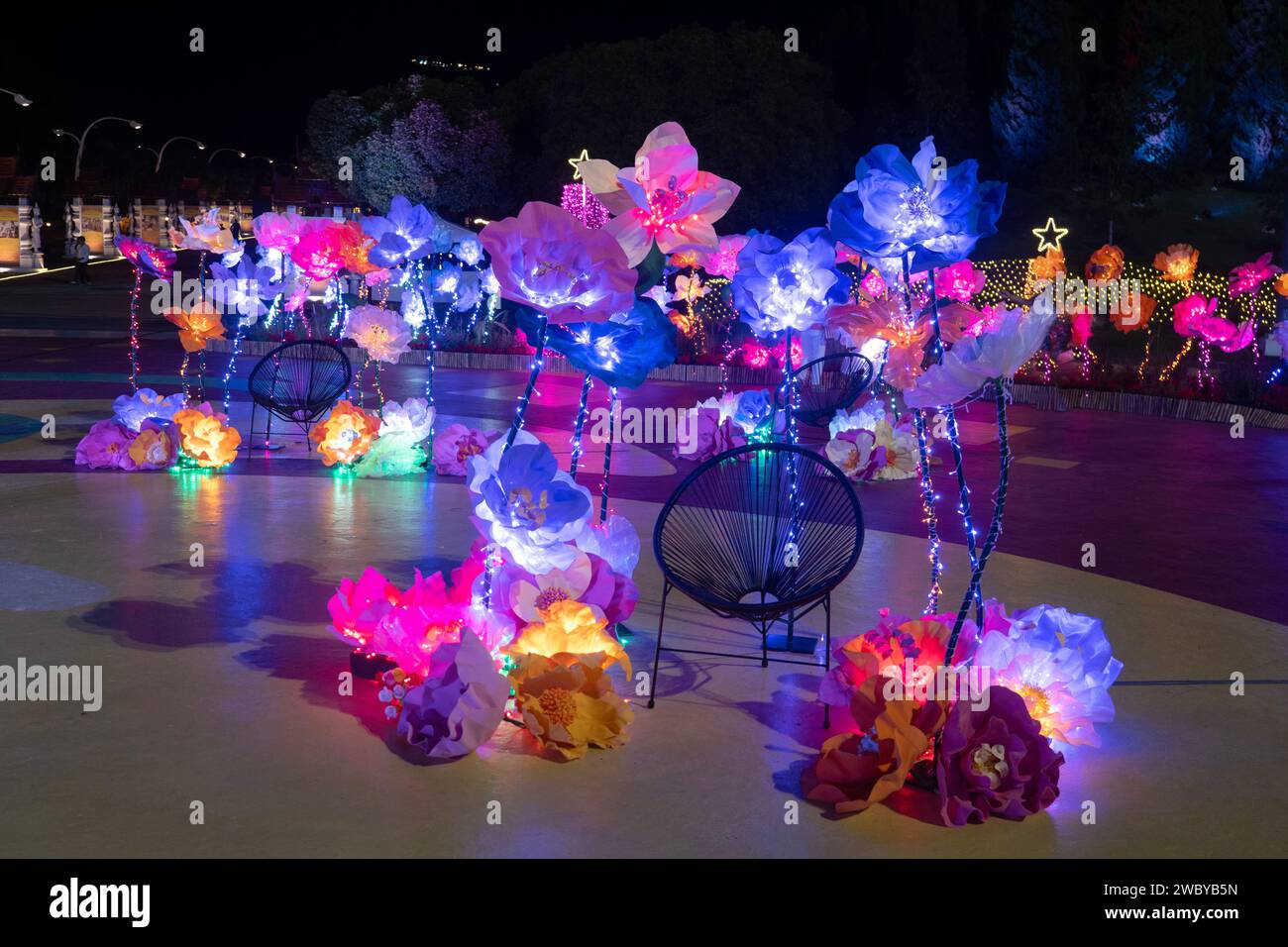 CHIANG MAI, THAILAND JANUARY 1, 2024 View of flower garden during