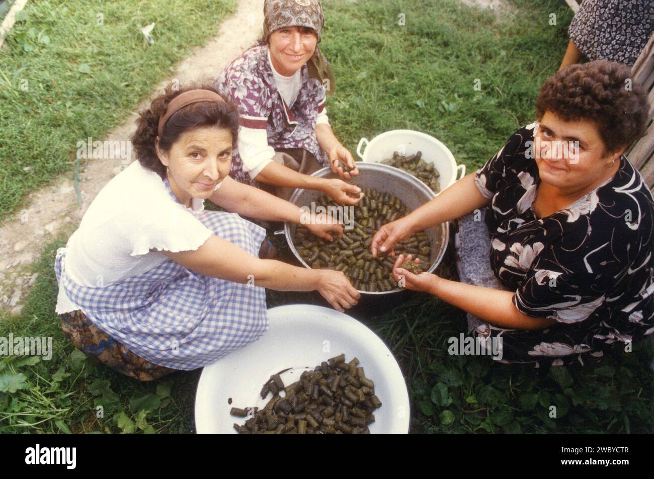 Vrancea County, Romania, approx. A group of local women preparing the traditional cabbage rolls for an event. Stock Photo