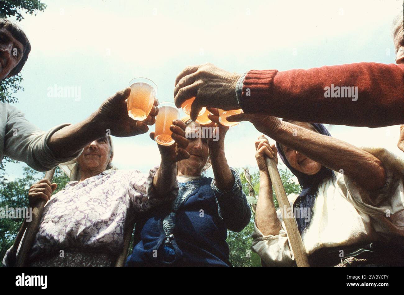 Vrancea County, Romania, approx. 1995. Group of peasants having a glass of homemade wine in a short break from their field work. Stock Photo